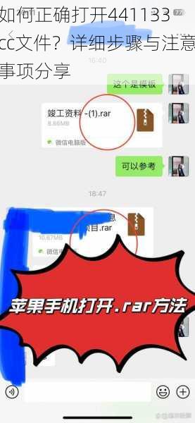 如何正确打开441133cc文件？详细步骤与注意事项分享