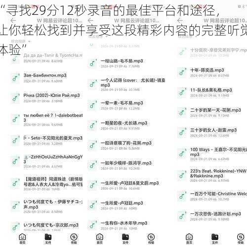 “寻找29分12秒录音的最佳平台和途径，让你轻松找到并享受这段精彩内容的完整听觉体验”