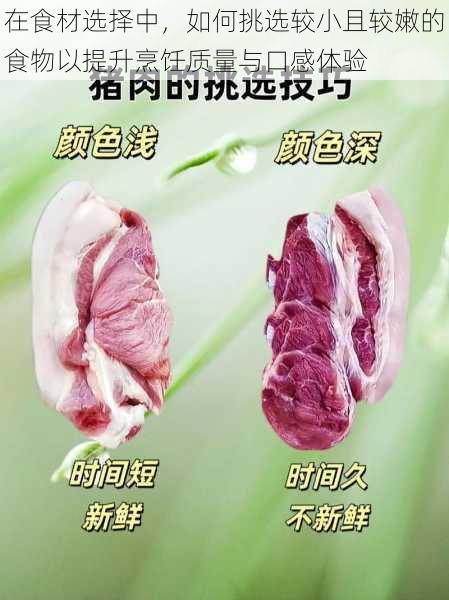 在食材选择中，如何挑选较小且较嫩的食物以提升烹饪质量与口感体验