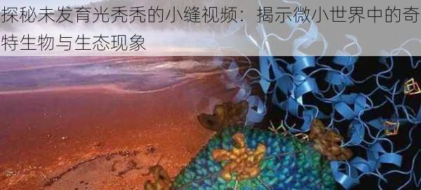 探秘未发育光秃秃的小缝视频：揭示微小世界中的奇特生物与生态现象