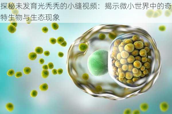 探秘未发育光秃秃的小缝视频：揭示微小世界中的奇特生物与生态现象