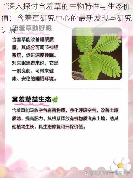 “深入探讨含羞草的生物特性与生态价值：含羞草研究中心的最新发现与研究进展”