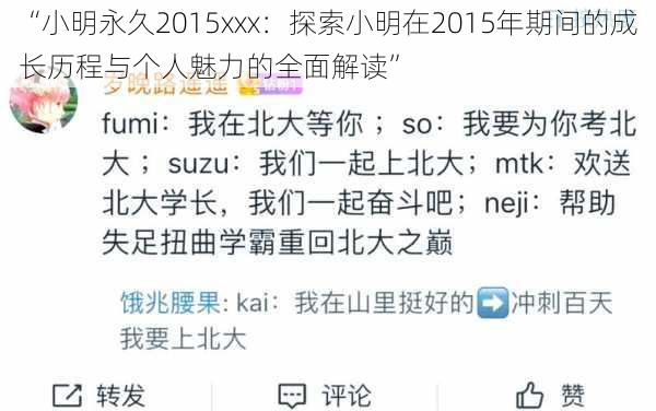 “小明永久2015xxx：探索小明在2015年期间的成长历程与个人魅力的全面解读”