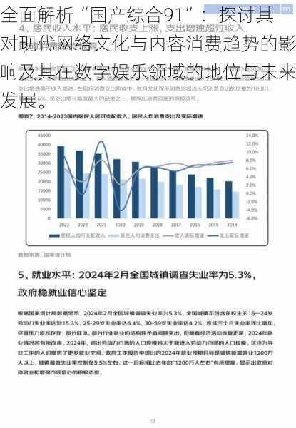 全面解析“国产综合91”：探讨其对现代网络文化与内容消费趋势的影响及其在数字娱乐领域的地位与未来发展。