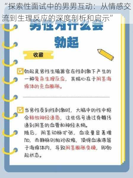 “探索性面试中的男男互动：从情感交流到生理反应的深度剖析和启示”