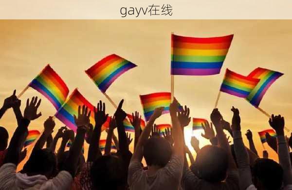 gayv在线