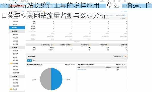 全面解析站长统计工具的多样应用：草莓、榴莲、向日葵与秋葵网站流量监测与数据分析