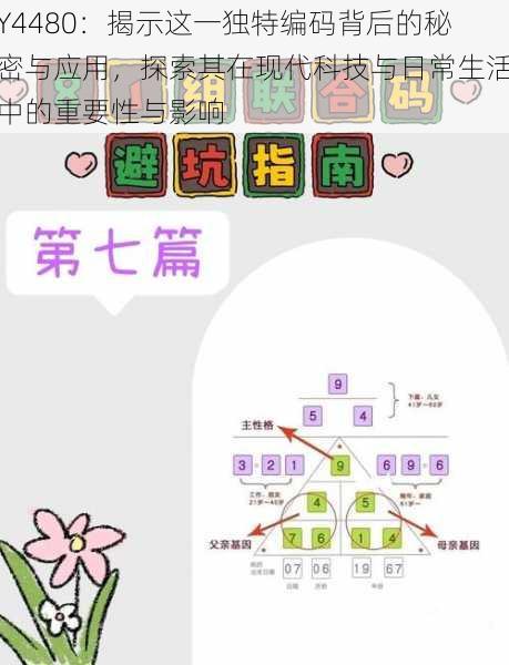 Y4480：揭示这一独特编码背后的秘密与应用，探索其在现代科技与日常生活中的重要性与影响