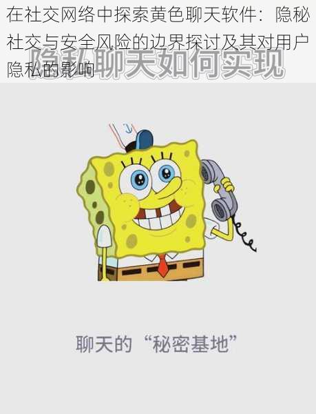 在社交网络中探索黄色聊天软件：隐秘社交与安全风险的边界探讨及其对用户隐私的影响