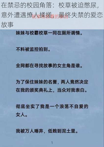 在禁忌的校园角落：校草被迫憋尿，意外遭遇撩人揉搓，最终失禁的爱恋故事