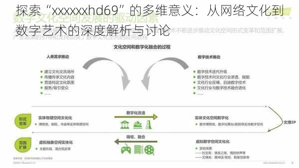 探索“xxxxxxhd69”的多维意义：从网络文化到数字艺术的深度解析与讨论