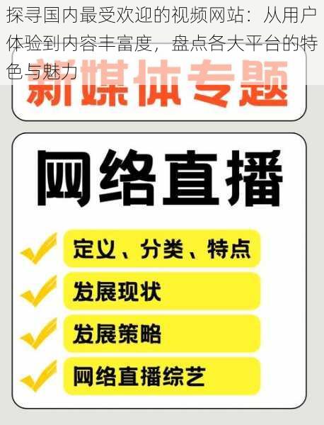 探寻国内最受欢迎的视频网站：从用户体验到内容丰富度，盘点各大平台的特色与魅力