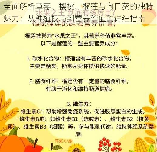 全面解析草莓、樱桃、榴莲与向日葵的独特魅力：从种植技巧到营养价值的详细指南