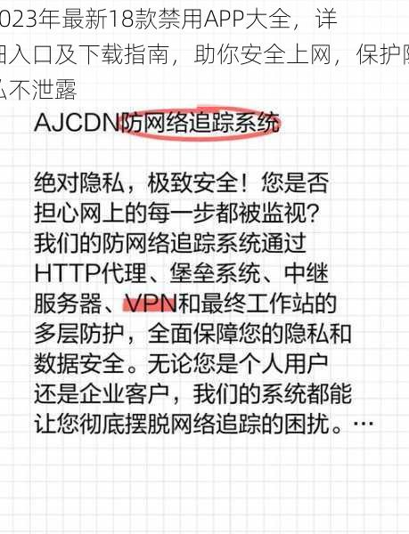 2023年最新18款禁用APP大全，详细入口及下载指南，助你安全上网，保护隐私不泄露