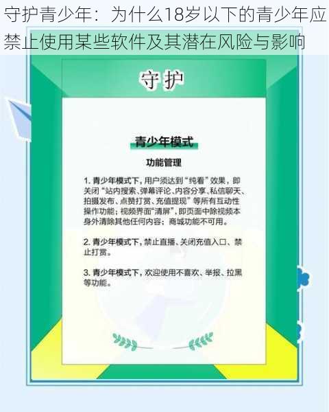 守护青少年：为什么18岁以下的青少年应禁止使用某些软件及其潜在风险与影响