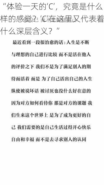 “体验一天的‘C’，究竟是什么样的感觉？‘C’在这里又代表着什么深层含义？”