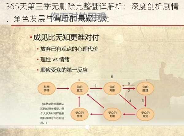 365天第三季无删除完整翻译解析：深度剖析剧情、角色发展与背后的悬疑元素