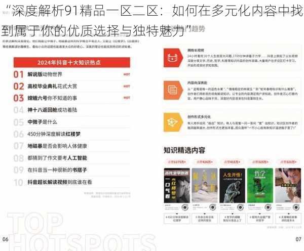 “深度解析91精品一区二区：如何在多元化内容中找到属于你的优质选择与独特魅力”