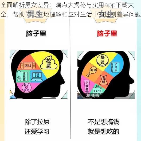 全面解析男女差异：痛点大揭秘与实用app下载大全，帮助你更好地理解和应对生活中的性别差异问题