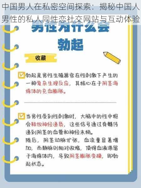 中国男人在私密空间探索：揭秘中国人男性的私人同性恋社交网站与互动体验