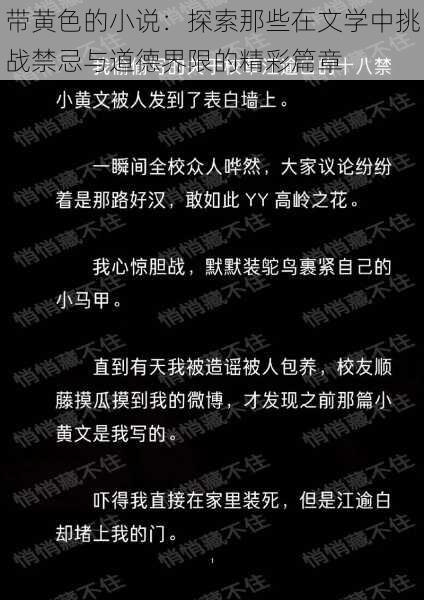 带黄色的小说：探索那些在文学中挑战禁忌与道德界限的精彩篇章