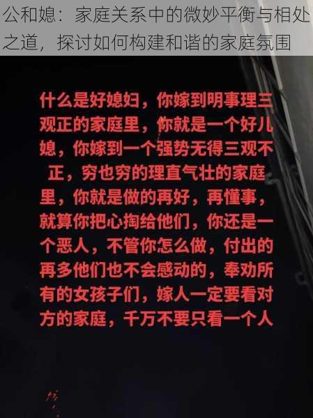 公和媳：家庭关系中的微妙平衡与相处之道，探讨如何构建和谐的家庭氛围