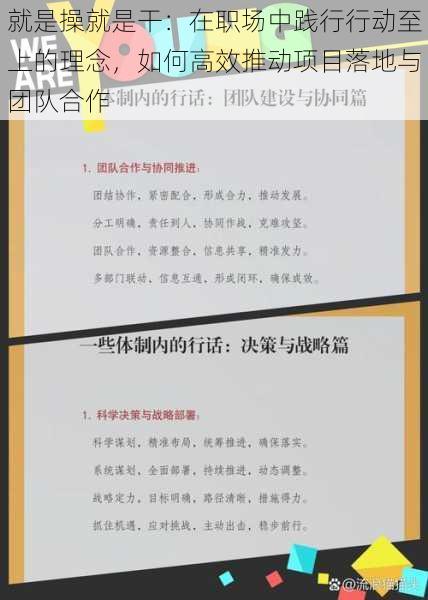 就是操就是干：在职场中践行行动至上的理念，如何高效推动项目落地与团队合作