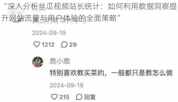 “深入分析丝瓜视频站长统计：如何利用数据洞察提升网站流量与用户体验的全面策略”