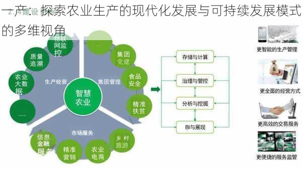 一产：探索农业生产的现代化发展与可持续发展模式的多维视角