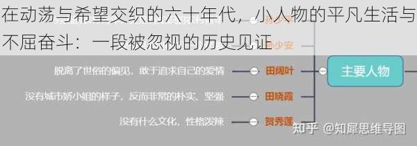 在动荡与希望交织的六十年代，小人物的平凡生活与不屈奋斗：一段被忽视的历史见证