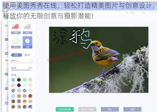 使用美图秀秀在线，轻松打造精美图片与创意设计，释放你的无限创意与摄影潜能！