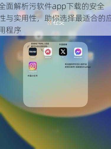 全面解析污软件app下载的安全性与实用性，助你选择最适合的应用程序