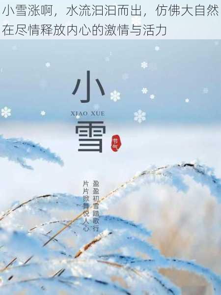 小雪涨啊，水流汩汩而出，仿佛大自然在尽情释放内心的激情与活力