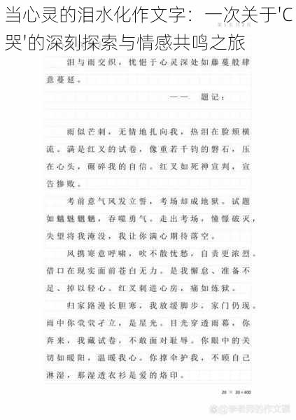 当心灵的泪水化作文字：一次关于'C哭'的深刻探索与情感共鸣之旅