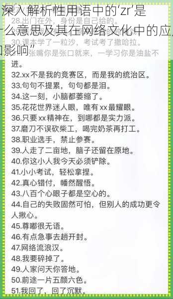 “深入解析性用语中的‘zr’是什么意思及其在网络文化中的应用和影响”