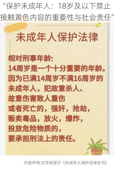 “保护未成年人：18岁及以下禁止接触黄色内容的重要性与社会责任”