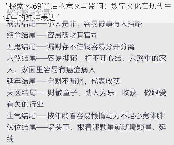 “探索‘xx69’背后的意义与影响：数字文化在现代生活中的独特表达”