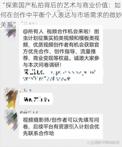 “探索国产私拍背后的艺术与商业价值：如何在创作中平衡个人表达与市场需求的微妙关系”