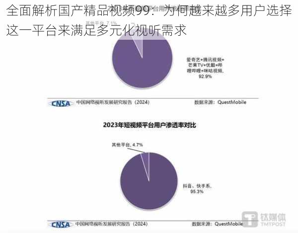 全面解析国产精品视频99：为何越来越多用户选择这一平台来满足多元化视听需求