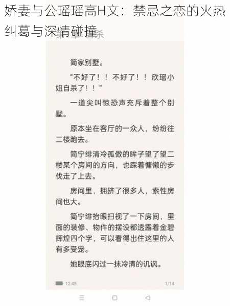 娇妻与公瑶瑶高H文：禁忌之恋的火热纠葛与深情碰撞