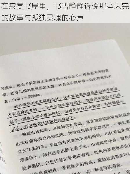 在寂寞书屋里，书籍静静诉说那些未完的故事与孤独灵魂的心声