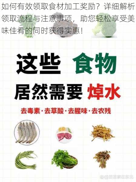 如何有效领取食材加工奖励？详细解析领取流程与注意事项，助您轻松享受美味佳肴的同时获得实惠！