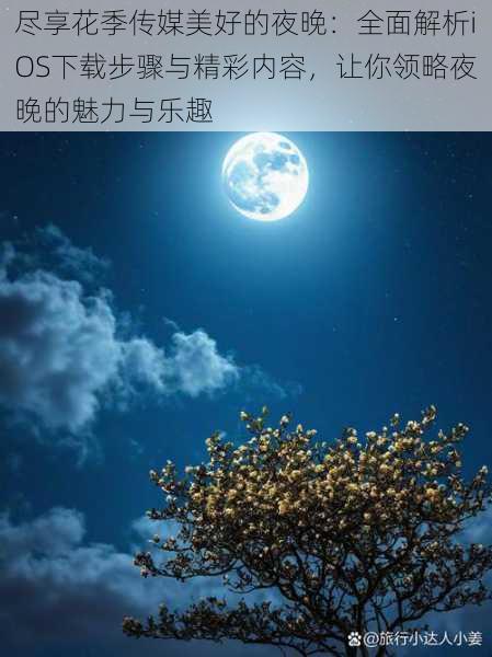 尽享花季传媒美好的夜晚：全面解析iOS下载步骤与精彩内容，让你领略夜晚的魅力与乐趣