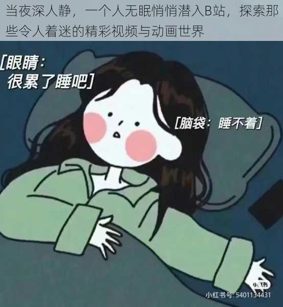 当夜深人静，一个人无眠悄悄潜入B站，探索那些令人着迷的精彩视频与动画世界