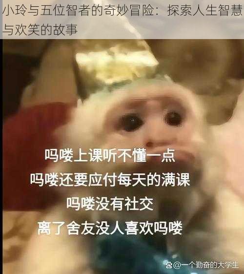 小玲与五位智者的奇妙冒险：探索人生智慧与欢笑的故事