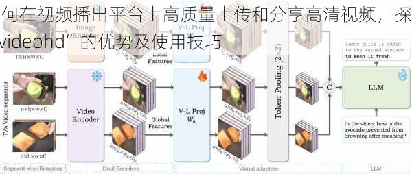 如何在视频播出平台上高质量上传和分享高清视频，探索“videohd”的优势及使用技巧