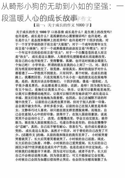 从畸形小狗的无助到小如的坚强：一段温暖人心的成长故事