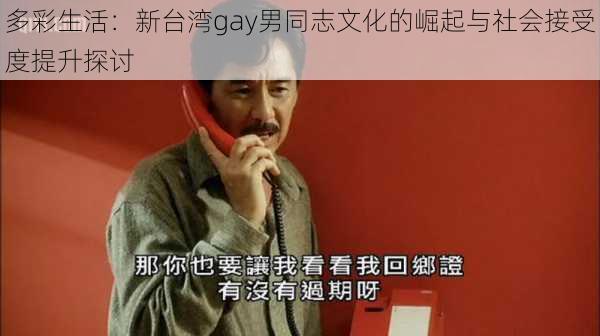 多彩生活：新台湾gay男同志文化的崛起与社会接受度提升探讨