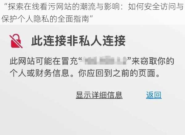 “探索在线看污网站的潮流与影响：如何安全访问与保护个人隐私的全面指南”