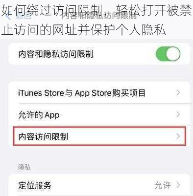 如何绕过访问限制，轻松打开被禁止访问的网址并保护个人隐私